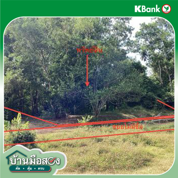 picture LAND 358.5 Sq.w. Hat Yai Songkhla for 2.2M - 15/17