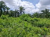 listing thumbnail image 10