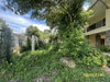 listing thumbnail image 36