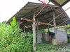 listing thumbnail image 59