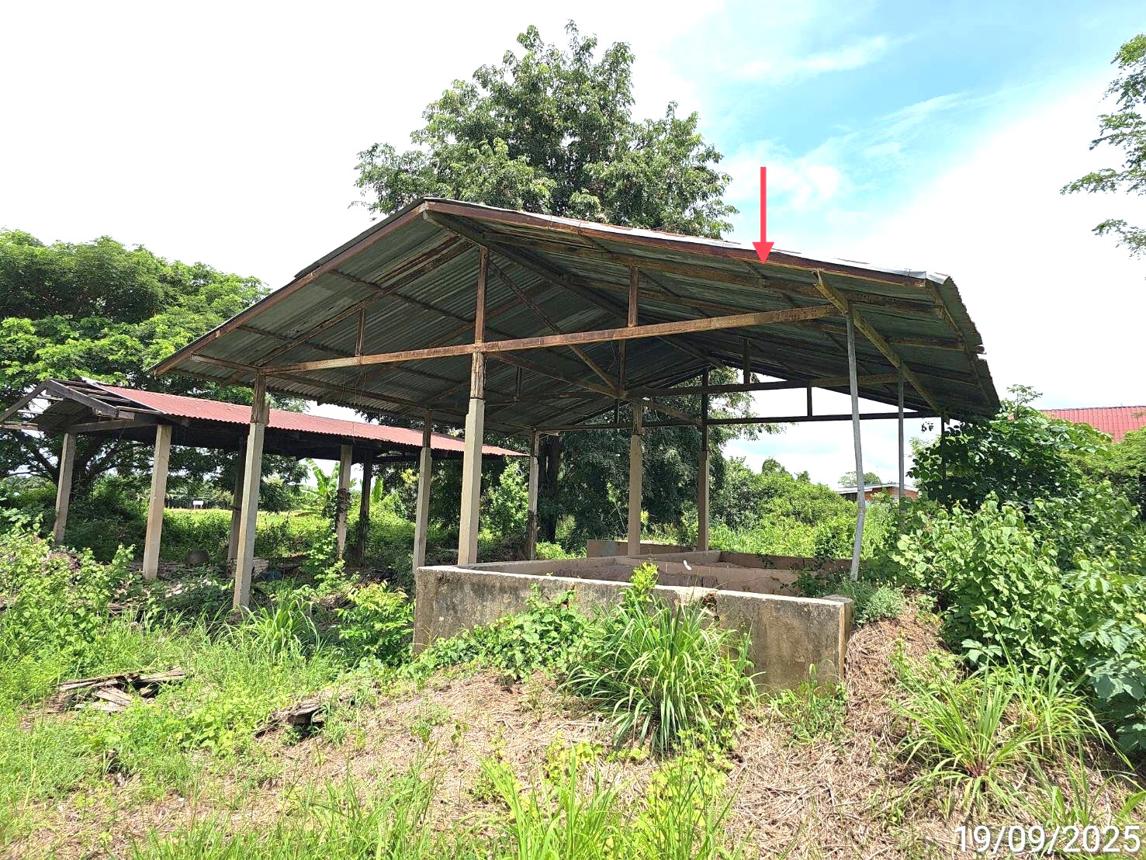 รูป บ้านเดี่ยว 2774.6 ตร.วา พรหมพิราม พิษณุโลก 2.6M - รูปที่ 39/49