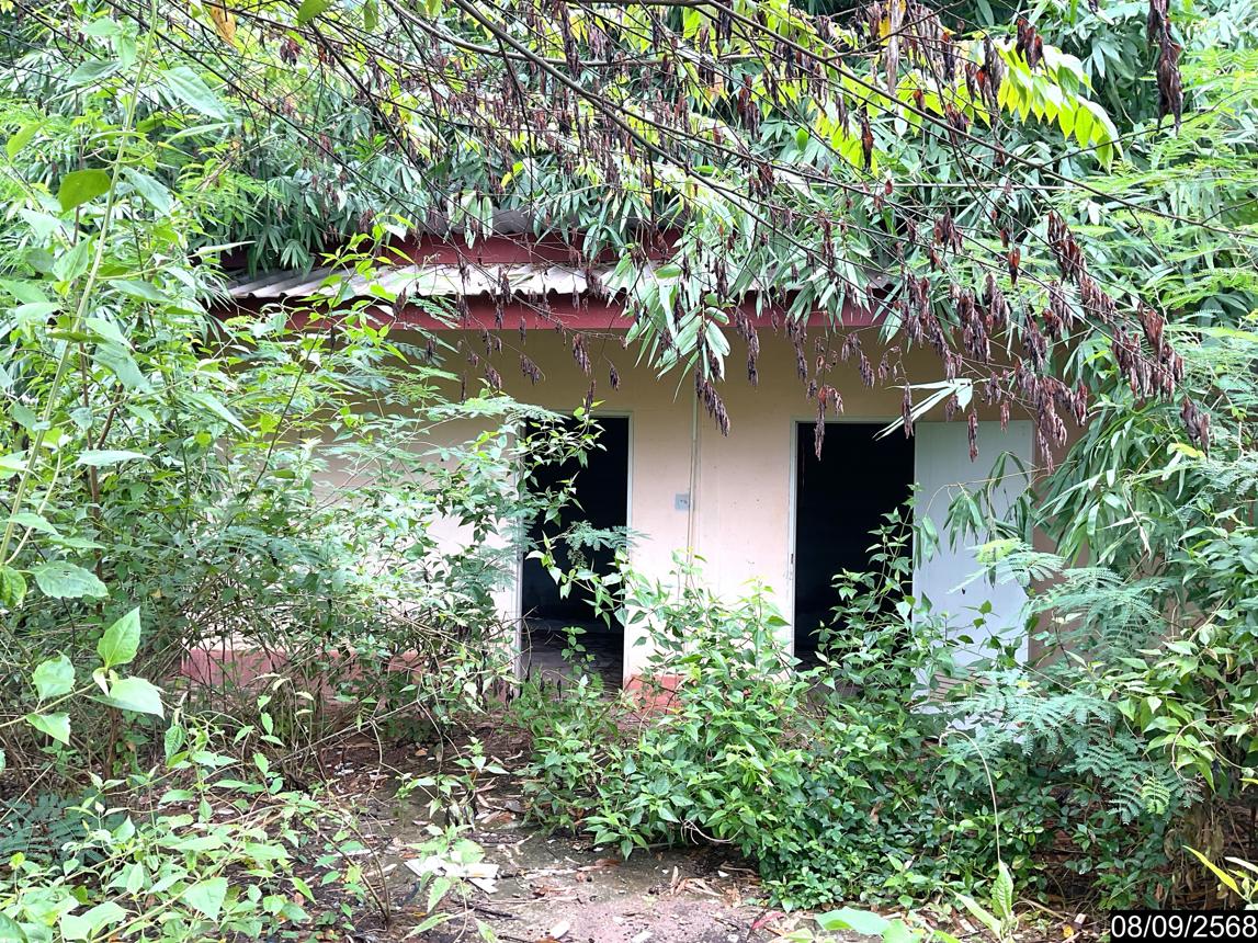 รูป บ้านเดี่ยว 986 ตร.วา เซกา บึงกาฬ 3.1M - รูปที่ 24/35