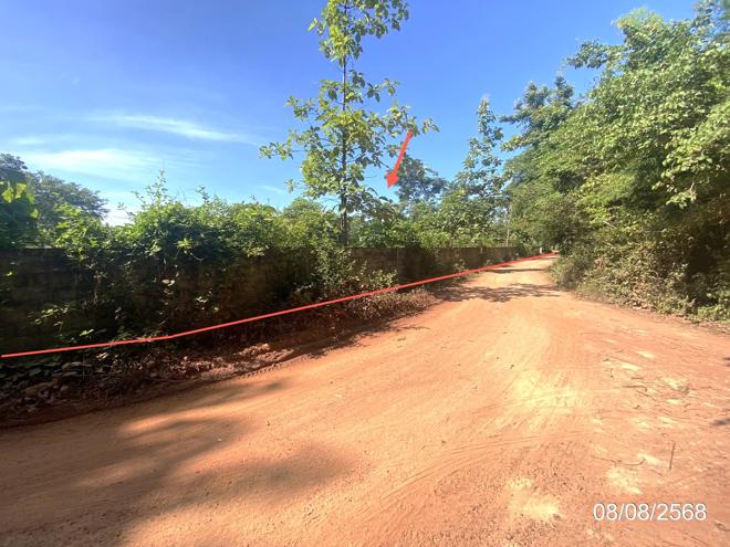 รูป บ้านเดี่ยว 2753 ตร.วา กุฉินารายณ์ กาฬสินธุ์ 3.1M - รูปที่ 9/25