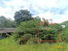 listing thumbnail image 26