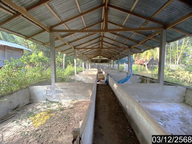 รูป บ้านเดี่ยว 17362 ตร.วา ประจักษ์ศิลปาคม อุดรธานี 16.2M - รูปที่ 11/49