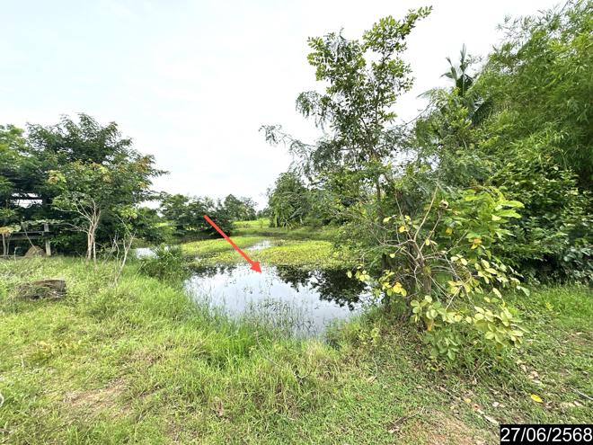 รูป ที่ดินว่างเปล่า 5664 ตร.วา เดชอุดม อุบลราชธานี 6.1M - รูปที่ 9/25