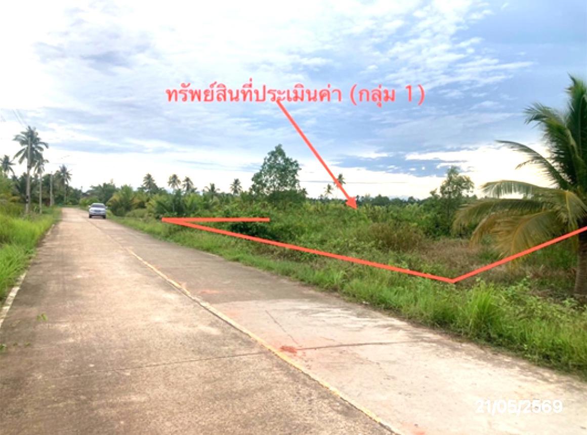รูป ที่ดินว่างเปล่า 1945.7 ตร.วา เมืองสุราษฎร์ธานี สุราษฎร์ธานี 5.2M - รูปที่ 15/25