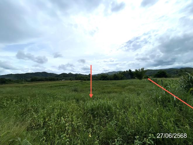รูป ที่ดินว่างเปล่า 1888.3 ตร.วา เมืองเพชรบูรณ์ เพชรบูรณ์ 1.7M - รูปที่ 11/25