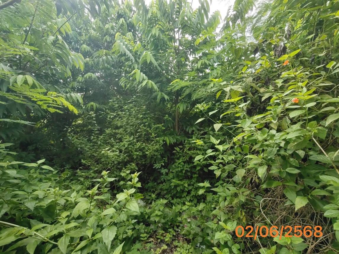 รูป ที่ดินว่างเปล่า 150 ตร.วา เมืองกระบี่ กระบี่ 997,000 - รูปที่ 13/17