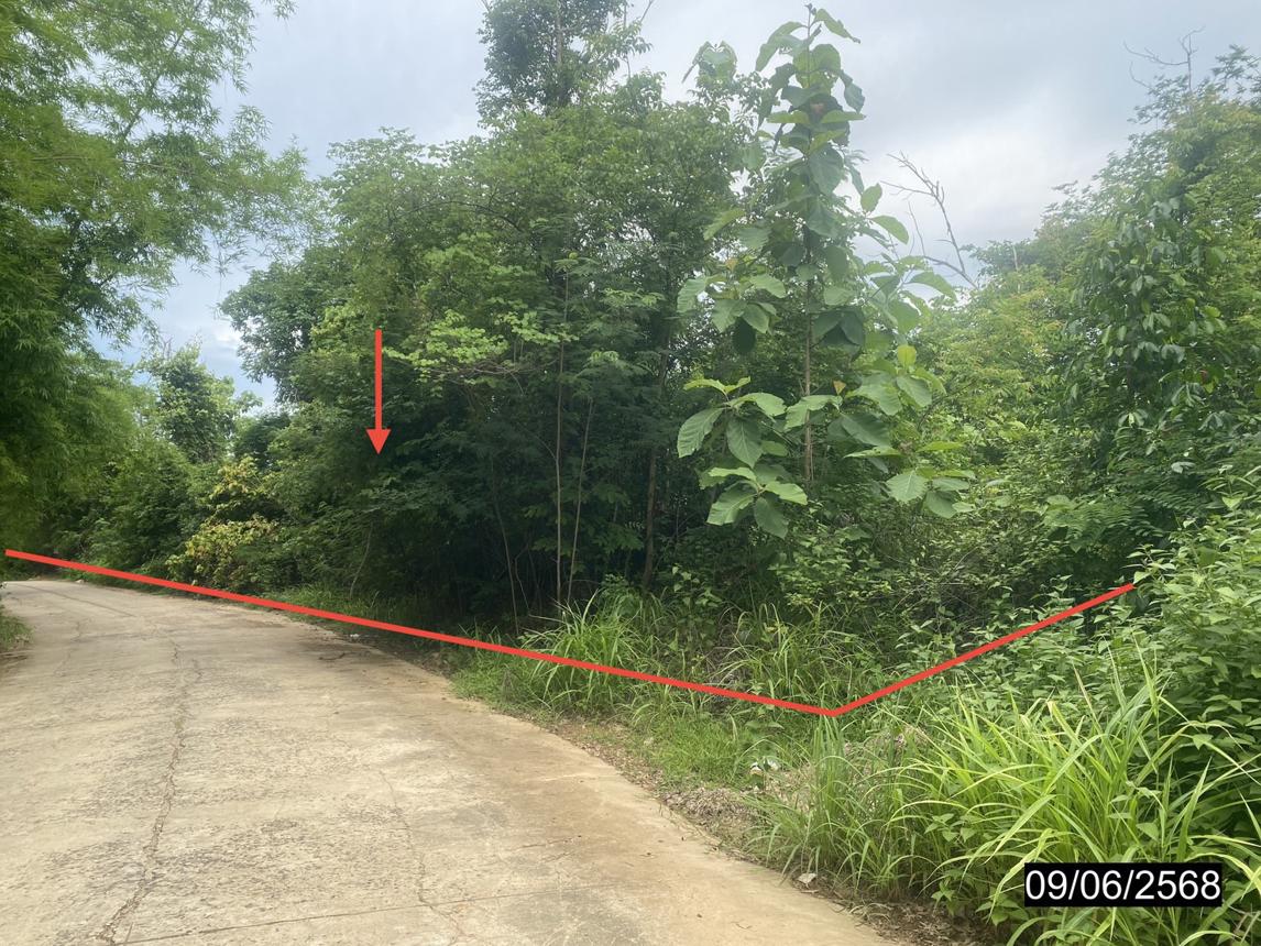 รูป ที่ดินว่างเปล่า 3030 ตร.วา หล่มเก่า เพชรบูรณ์ 985,000 - รูปที่ 10/21