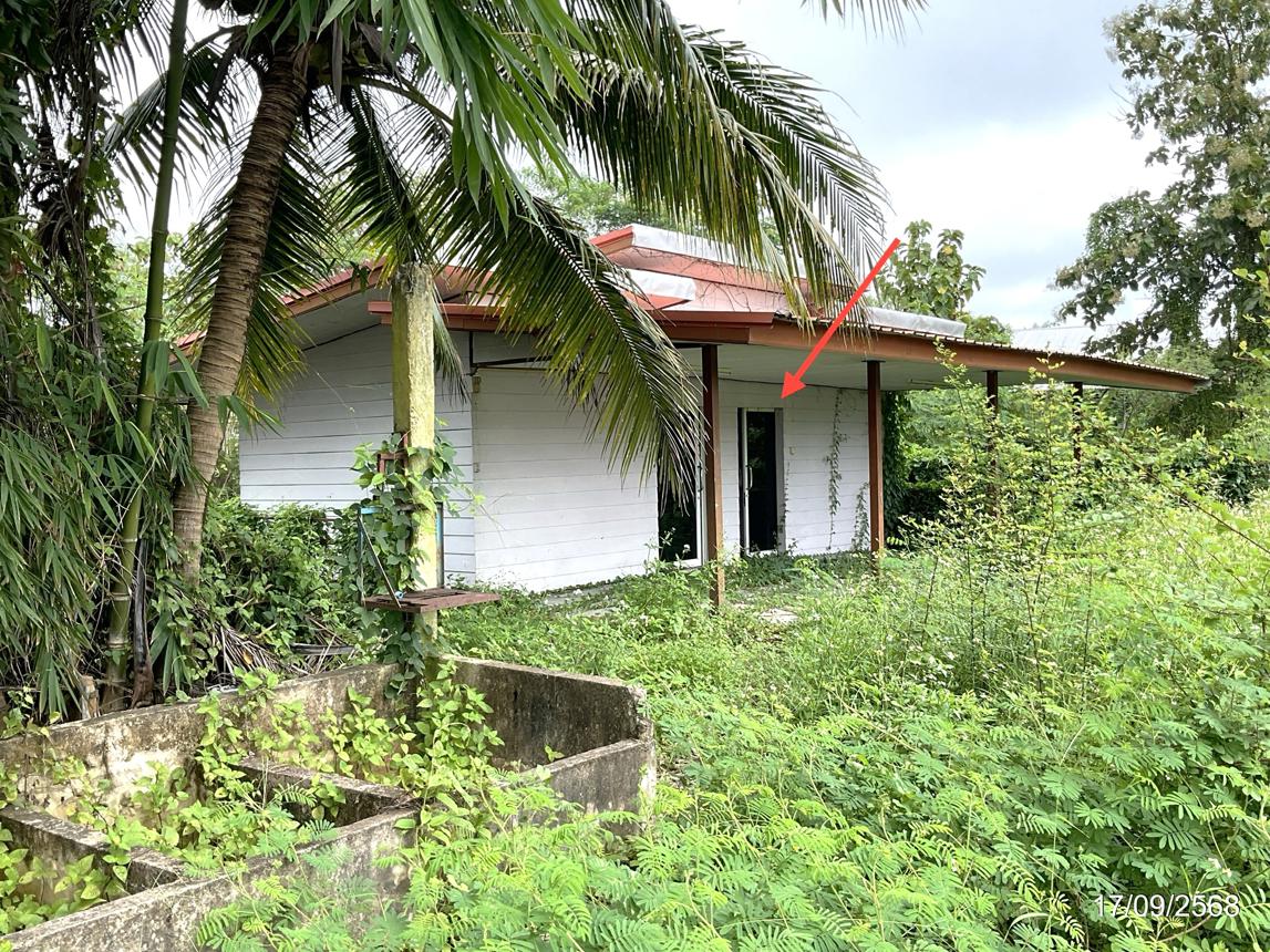 รูป บ้านเดี่ยว 870 ตร.วา พาน เชียงราย 3.6M - รูปที่ 19/31
