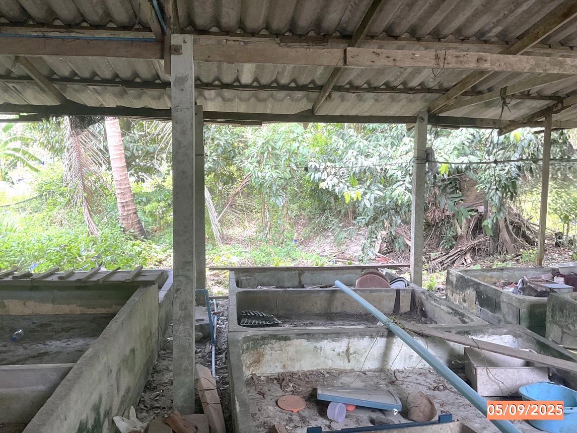 รูป บ้านเดี่ยว 137 ตร.วา ร่อนพิบูลย์ นครศรีธรรมราช 1.1M - รูปที่ 19/25
