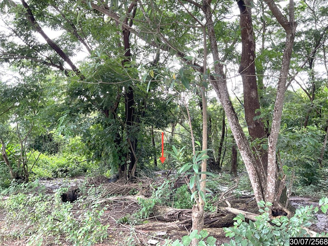 รูป ที่ดินว่างเปล่า 1862.1 ตร.วา เมืองอุดรธานี อุดรธานี 13.4M - รูปที่ 15/19