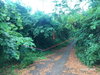listing thumbnail image 7