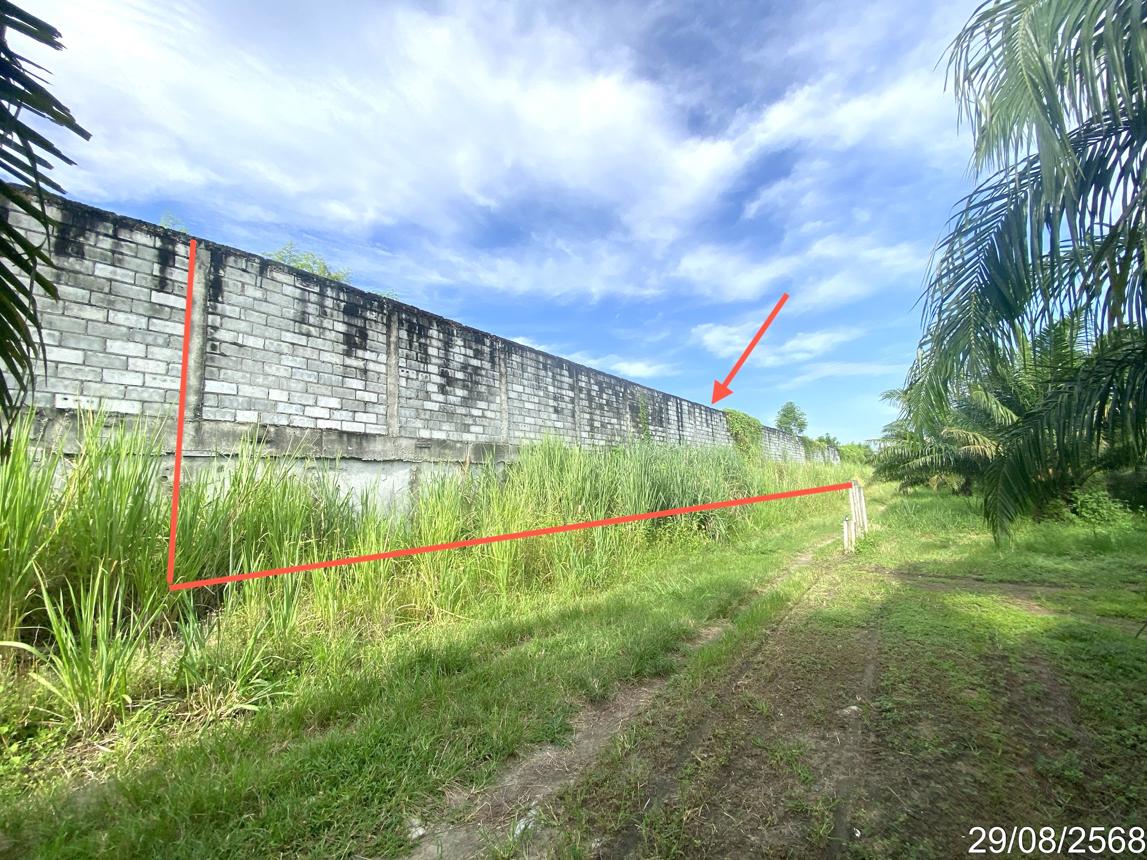 picture LAND 1016.8 Sq.w. Ban Bung Chonburi for 13.6M - 8/17