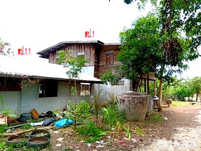 ขายบ้านเดี่ยว : บ้านเดี่ยว 172 ตร.วา ภูกระดึง เลย 857,000