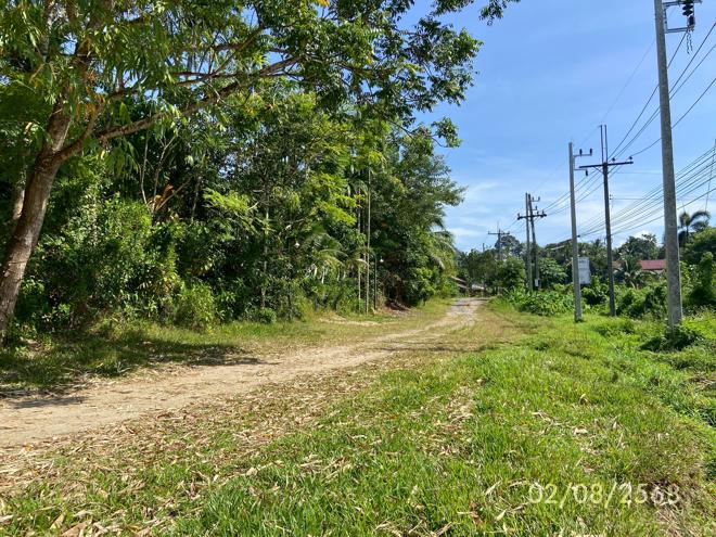 picture LAND 320 Sq.w. Kong Ra Phatthalung for 2M - 9/21