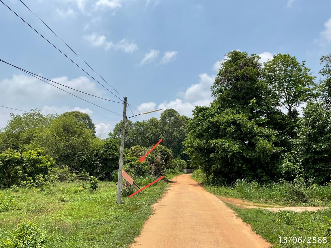 picture LAND 1777.2 Sq.w. Muang Ya Sothon Yasothon for 1.4M - 17/25