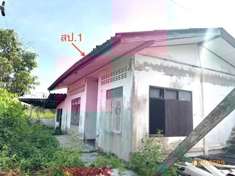 รูป บ้านเดี่ยว 4945 ตร.วา กาญจนดิษฐ์ สุราษฎร์ธานี 2.3M - รูปที่ 30/33