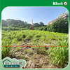 listing thumbnail image 10