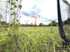 listing thumbnail image 31