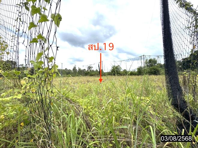 รูป โกดัง 11795 ตร.วา เดชอุดม อุบลราชธานี 37.3M - รูปที่ 32/71