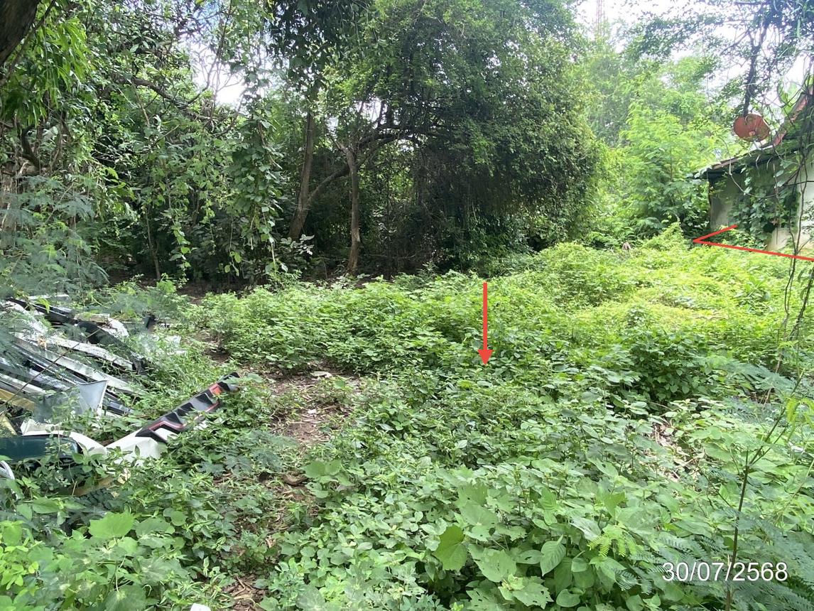 picture LAND 202 Sq.w. Chiang Yun Maha Sarakham for 296,000 - 15/21