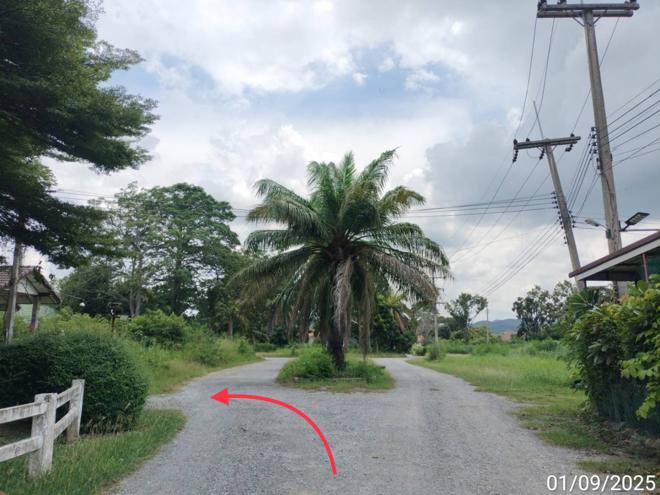 picture LAND 238 Sq.w. Muak Lek Saraburi for 333,000 - 7/19