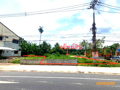 ที่ดิน สุราษฎร์ธานี : ที่ดินว่างเปล่า 442 ตร.วา กาญจนดิษฐ์ สุราษฎร์ธานี 1.9M