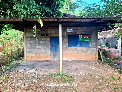 บ้านเดี่ยว เพชรบูรณ์ : บ้านเดี่ยว 117 ตร.วา หนองไผ่ เพชรบูรณ์ 303,000