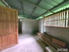 listing thumbnail image 18