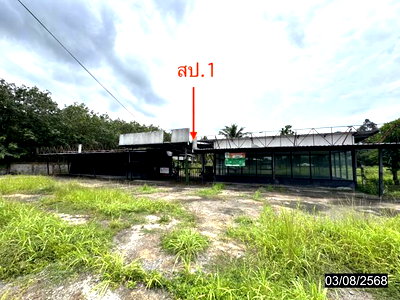 โรงงาน เดชอุดม อุบลราชธานี : โกดัง 11795 ตร.วา เดชอุดม อุบลราชธานี 37.3M
