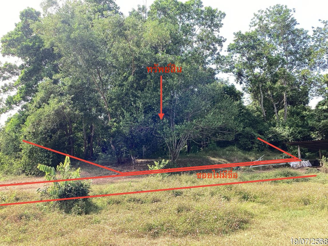 picture LAND 358.5 Sq.w. Hat Yai Songkhla for 2.2M - 8/17