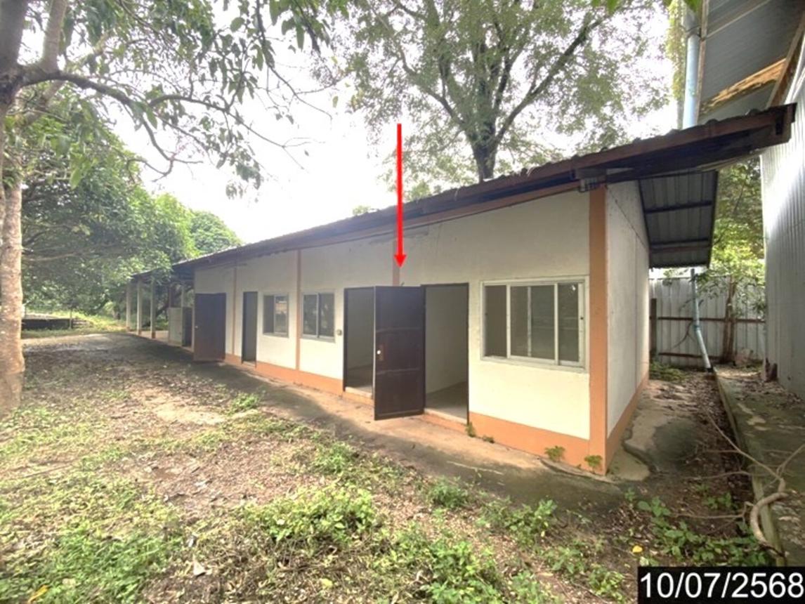 รูป บ้านเดี่ยว 9771.8 ตร.วา รัตนวาปี หนองคาย 14.3M - รูปที่ 38/53