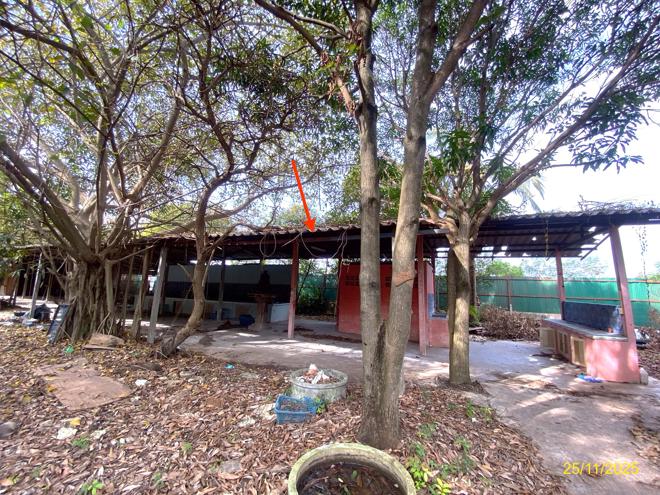 รูป บ้านเดี่ยว 2000 ตร.วา นครชัยศรี นครปฐม 20.5M - รูปที่ 15/49