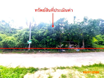 Land for sale Ko Samui Surat Thani : LAND 1519 Sq.w. Ko Samui Surat Thani for 12.6M