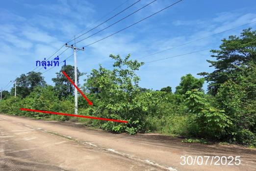 picture LAND 330 Sq.w. Mae Tha Lamphang for 444,000 - 20/23