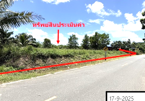 LAND 163.4 Sq.w. Rattaphum Songkhla for 1.2M