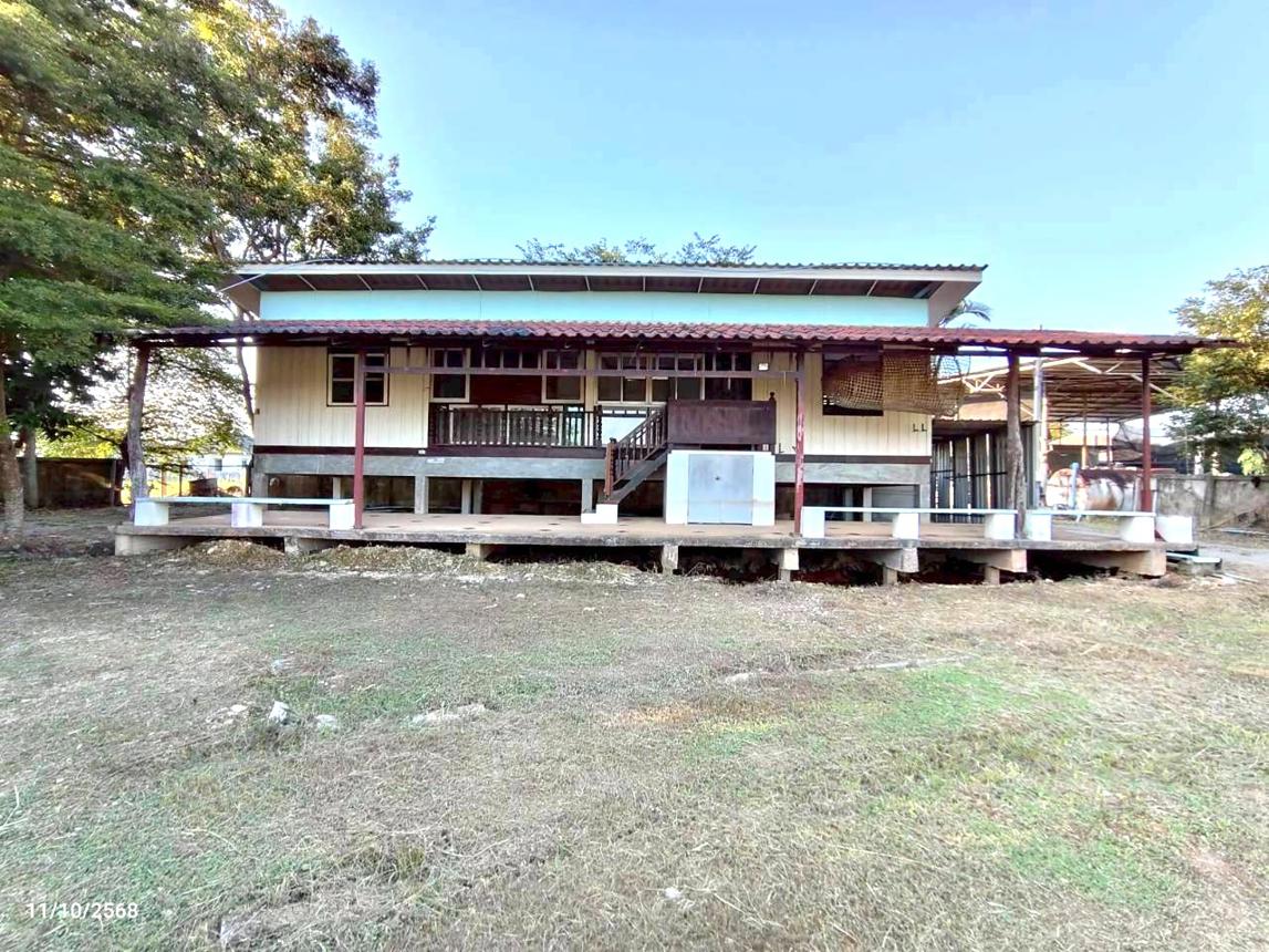 รูป บ้านเดี่ยว 815.6 ตร.วา เมืองเชียงราย เชียงราย 6.6M - รูปที่ 77/85