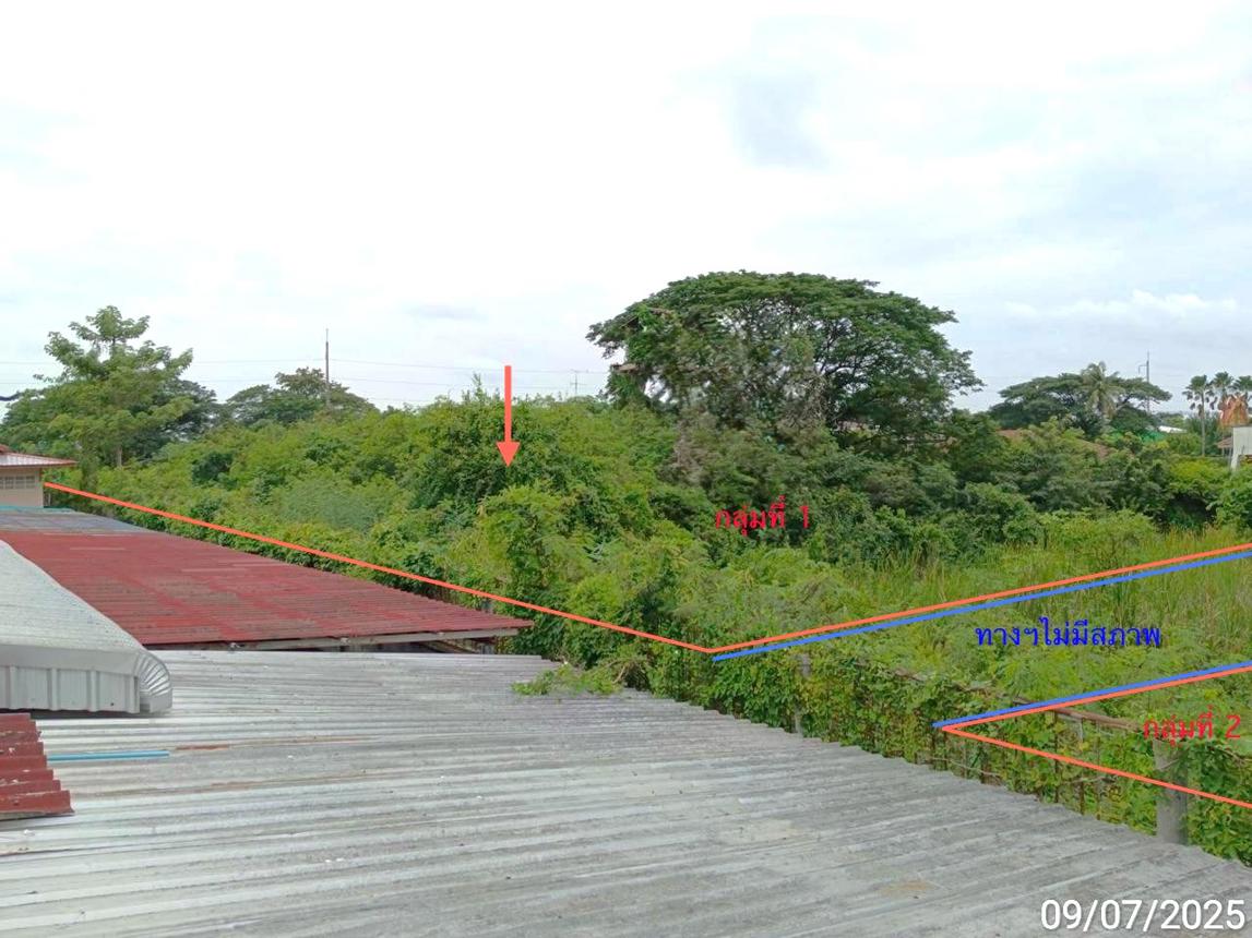 picture LAND 2134.8 Sq.w. Wichian Buri Phetchabun for 4.2M - 14/21
