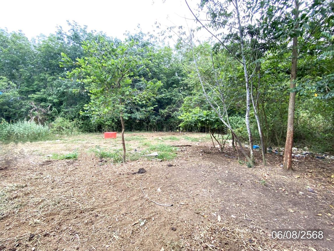 picture LAND 99.8 Sq.w. Hat Yai Songkhla for 593,000 - 11/17