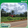 listing thumbnail image 22