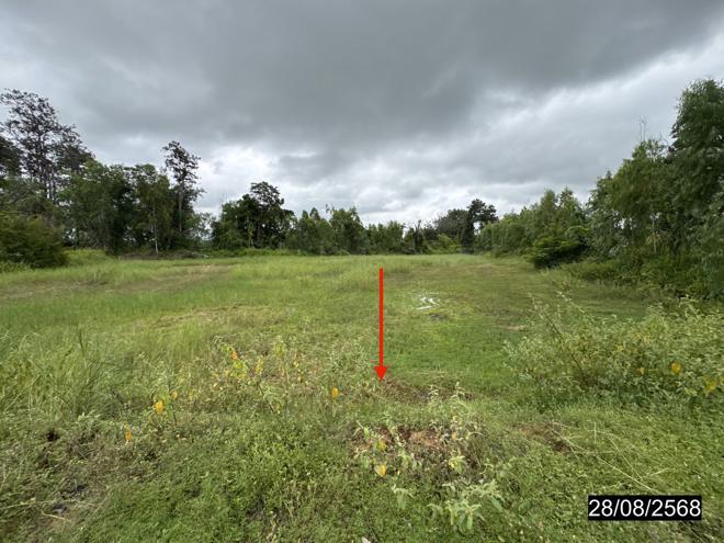picture LAND 5200 Sq.w. Senangkhanikhom Amnat Charoen for 3.7M - 4/25