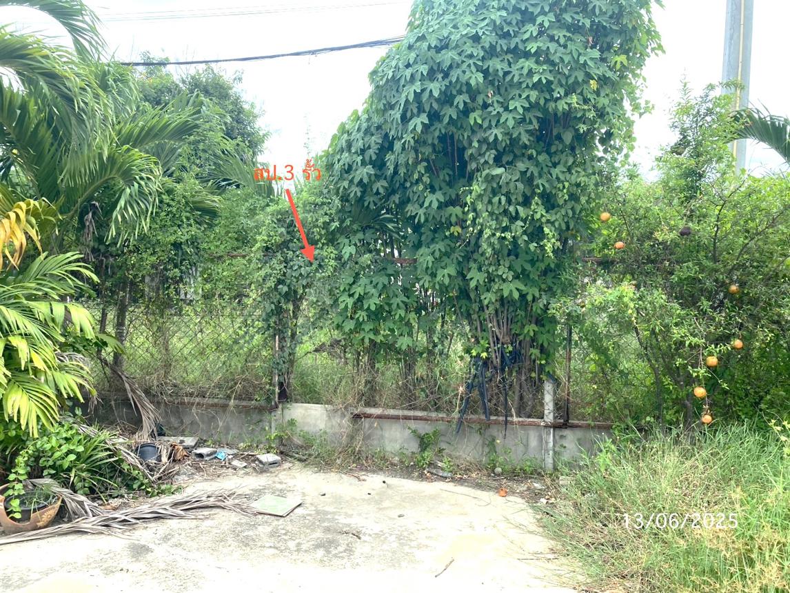 picture HOME 300 Sq.w. Kamphaeng Saen Nakhon Pathom for 2.3M - 31/35