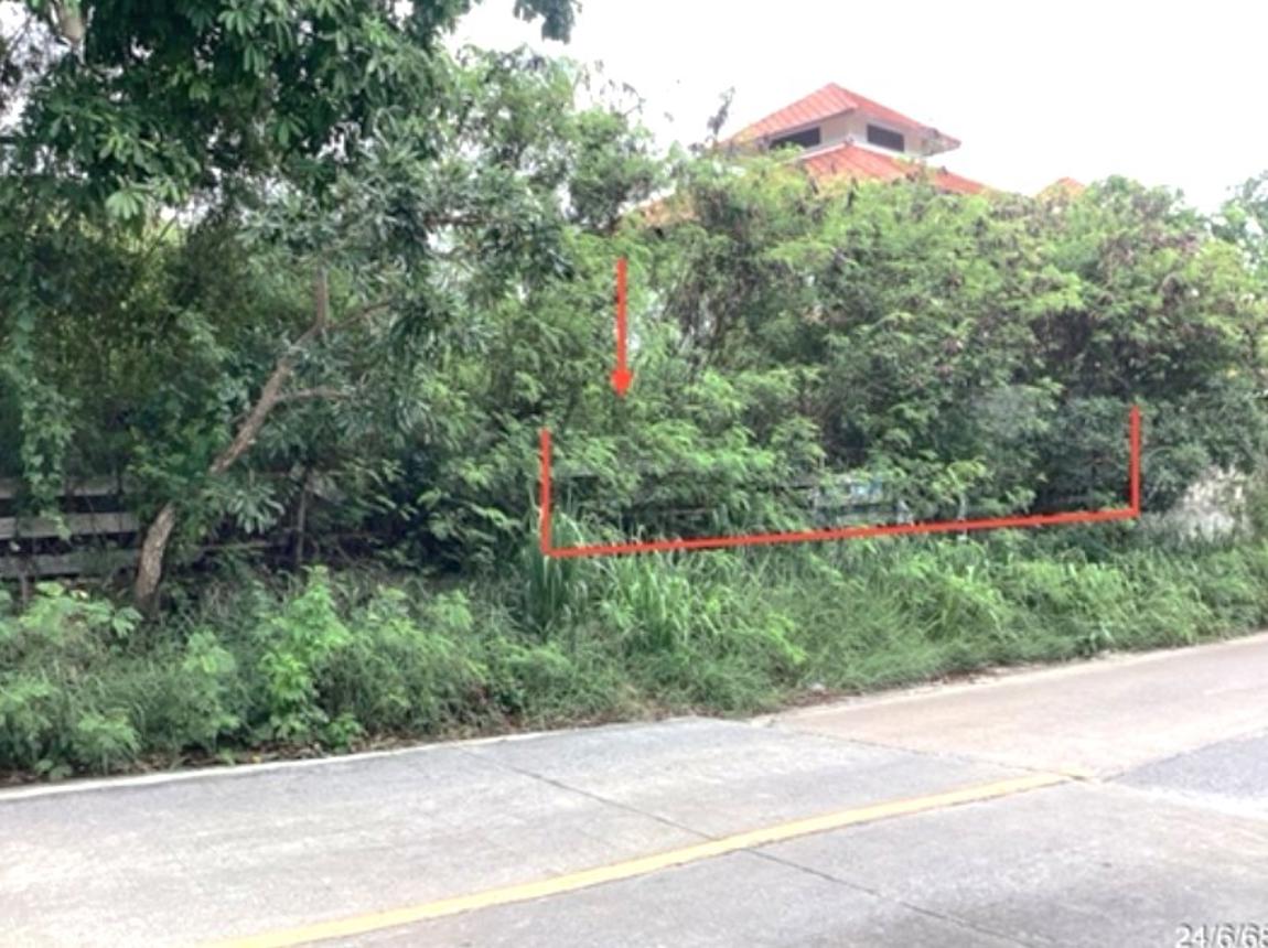 รูป ที่ดินว่างเปล่า 113.5 ตร.วา กันณิชา หัวหิน ประจวบคีรีขันธ์ 4.5M - รูปที่ 9/19
