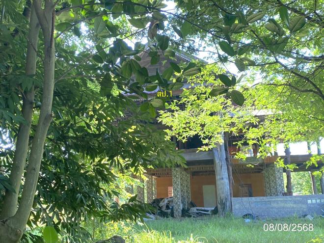 รูป บ้านเดี่ยว 2753 ตร.วา กุฉินารายณ์ กาฬสินธุ์ 3.1M - รูปที่ 1/25
