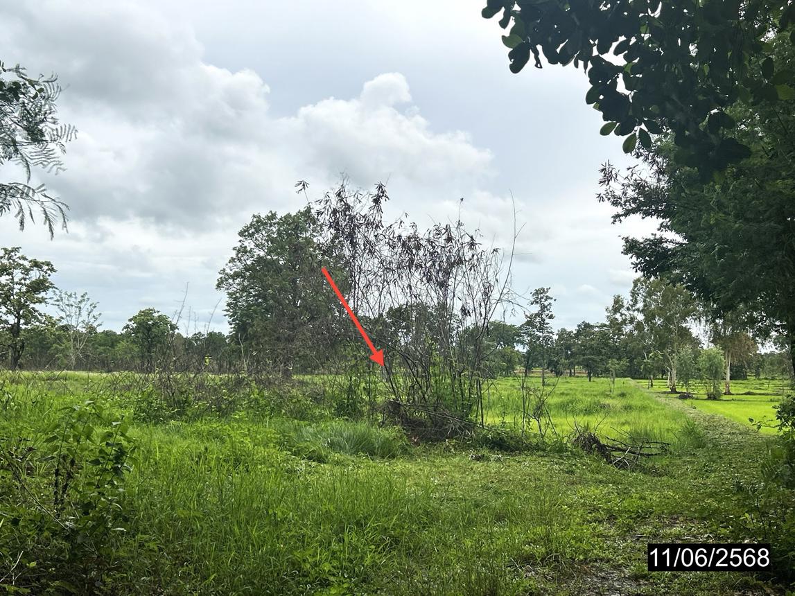 รูป ที่ดินว่างเปล่า 3793 ตร.วา วารินชำราบ อุบลราชธานี 2.2M - รูปที่ 15/25