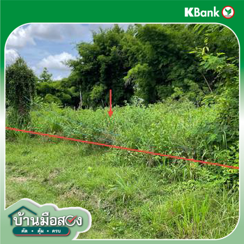 picture LAND 208 Sq.w. Pho Sai Ubon Ratchathani for 142,000 - 19/21
