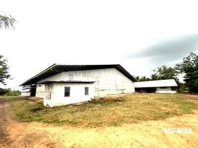 โรงงาน สนามบินนครราชสีมา : อาคารโรงงาน 2362 ตร.วา เฉลิมพระเกียรติ นครราชสีมา 9.7M