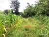 listing thumbnail image 26